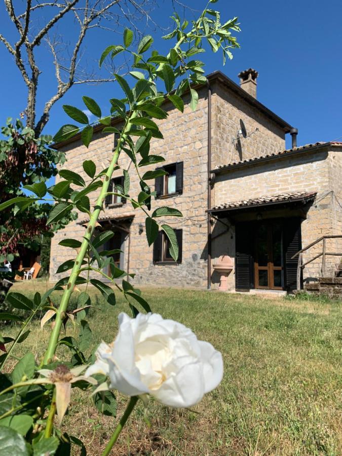 Vila Casa Di Monica Torre San Severo Exteriér fotografie